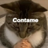 Contame