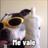 Cosas de Perritos 2🤎🐶✨ 10