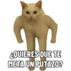 ¿QUIERES QUE TE META UN PUTAZO?