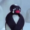 Memes do pingu 🐧🐧🐧 7