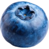 Buah / fruit 9