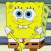 Sponge Bob 12