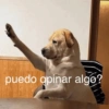 puedo opinar algo?