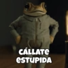 CÁLLATE ESTUPIDA