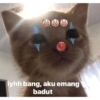 iyhh bang, aku emang badut