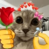 🐈‍⬛🐱🧶 GATOS | CATS 🧶🐱🐈‍⬛ 27