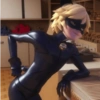 Cat noir 29