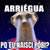 O póbi 💸 13