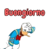 Buongiorno Stacoli Guore