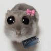 Rata triste Hámster Meme 🐹 21