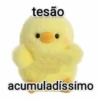 tesão acumuladíssimo