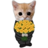 Cat with Roses