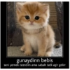 Günaydın-iyi geceler 22