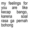 my feelings for you are like kecap bango, karena soal rasa ga pernah bohong