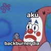 aku 25 backburner dia