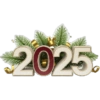 New Year 9