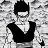 Gohan  15