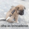 olha as brincadeiras