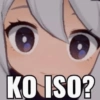 KO ISO?