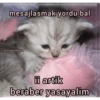 mesajlasmak yordu bal @miawlabakim ii artik beraber yasayalim