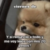 Hoy es viernes de... 7