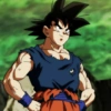 SON GOKU 12