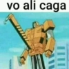 vo ali caga