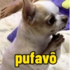 pufavô
