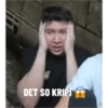 DET SO KRIPI