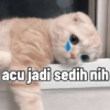 acu jadi sedih nih