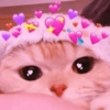 Cute baby cat🥺 12