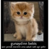 Günaydın-iyi geceler 23