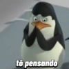 Pinguins de Madagascar meme 6