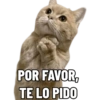 POR FAVOR, TE LO PIDO