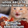 unos así o le tienes miedo a GOVSION Claudia sheibahum
