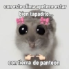 con este clima apetece estar bien tapadito... con tierra de panteón