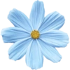 Blue emoji iPhone  16