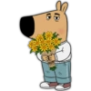 Flower Dog