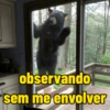 observando sem me envolver