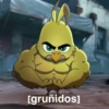 Gym 💪🏋️‍♀️ 10