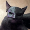 Kucing hitam meme 9