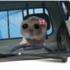 Hamster desesperado 5