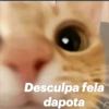 Desculpa fela dapota