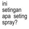 ini setingan apa seting spray?