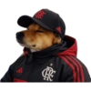 Clube de Regatas do Flamengo 13