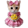 Pink Bow Cat