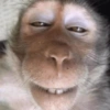 Monkey 🐒 5