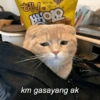 هرة 옥수수 꿀 백이요 km gasayang ak gamaadors