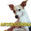 REAÇÕES ENGRAÇADAS 😂 14