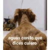aguas con lo que dices culero